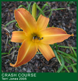 Click for a larger version of Crash Course.